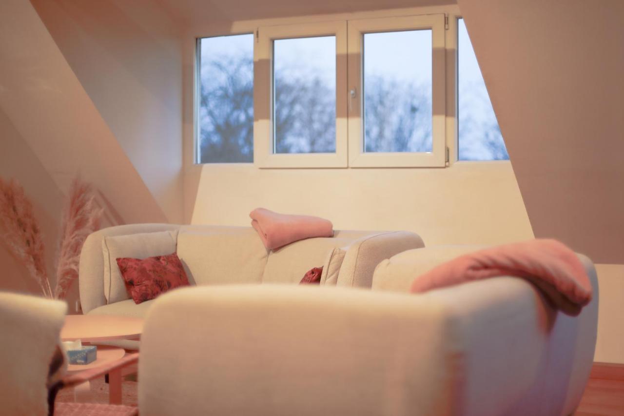 Loft Les Deux Cedres Avec Vue Panoramique Lejlighed Charleville-Mézières Eksteriør billede